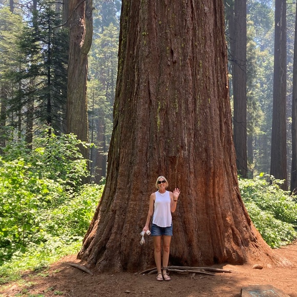 Meet your Posher, Nancy - Picture 1 of 1